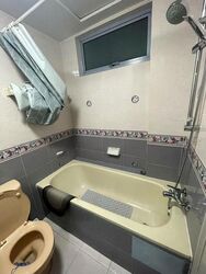 Emerald Park (D3), Condominium #504692771